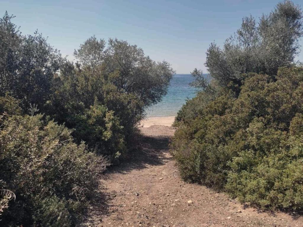 Vila Enelia Vatopédhion Exteriér fotografie